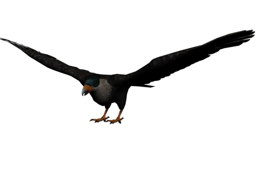 Eagle