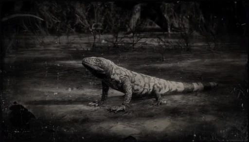Gila Monster