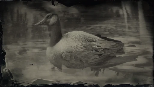 Goose