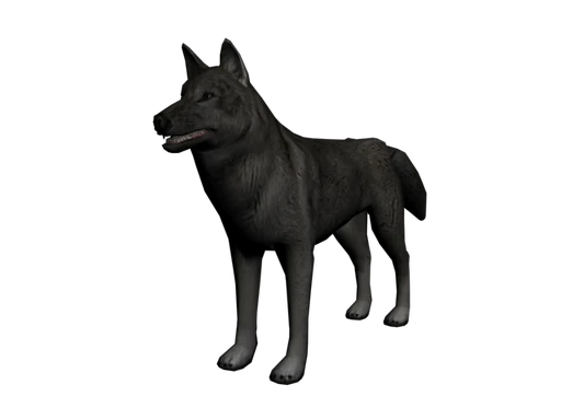 Gray Wolf