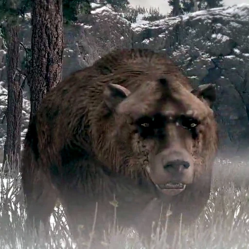 Grizzly Bear
