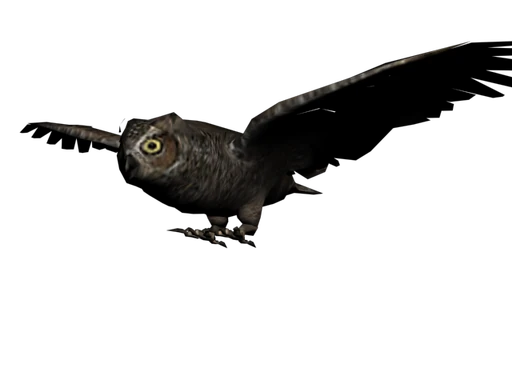 Owl
