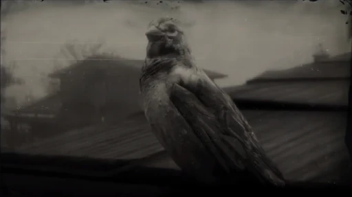 Sparrow