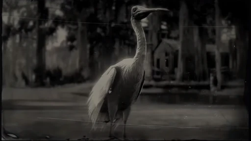 Spoonbill