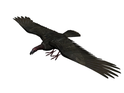 Vulture