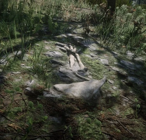 Dinosaur Bones