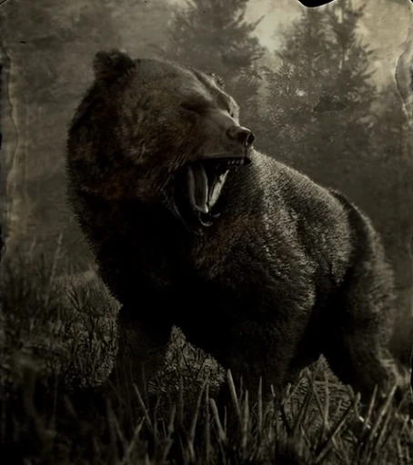 Skin Deep Trophy Animals