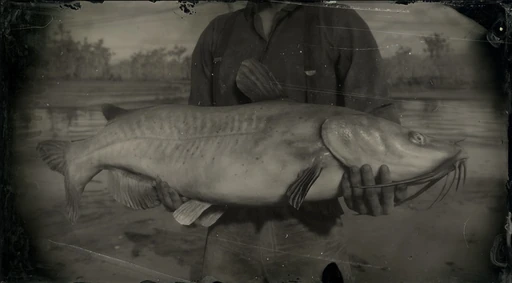 Legendary Channel Catfish