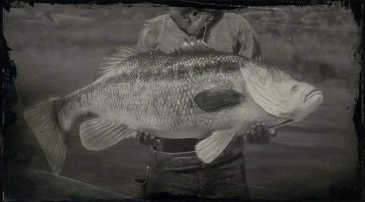 Legendary Largemouth Bass