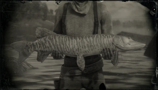 Legendary Muskie