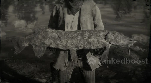 Legendary Northern Pike