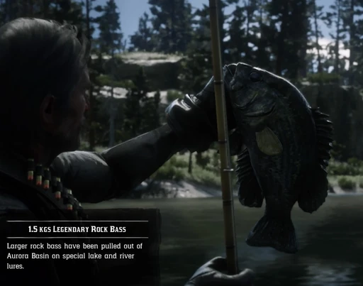 Legendary Rock Bass
