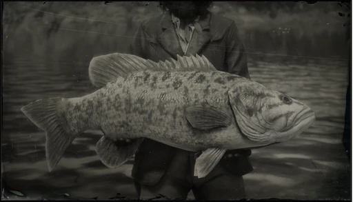 Legendary Smallmouth Bass