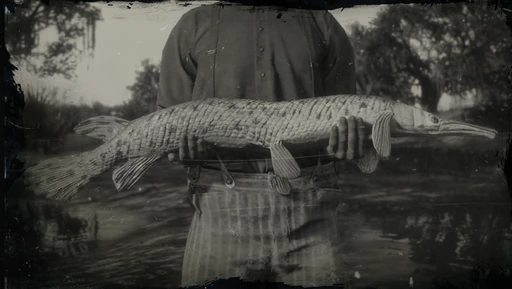 Longnose Gar