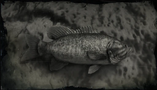 Smallmouth Bass