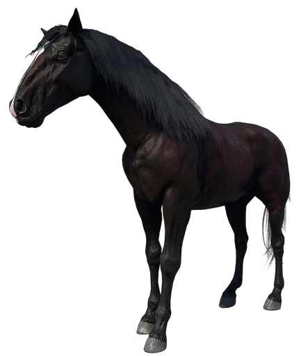 Andalusian