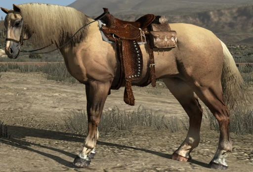 Kentucky Saddler