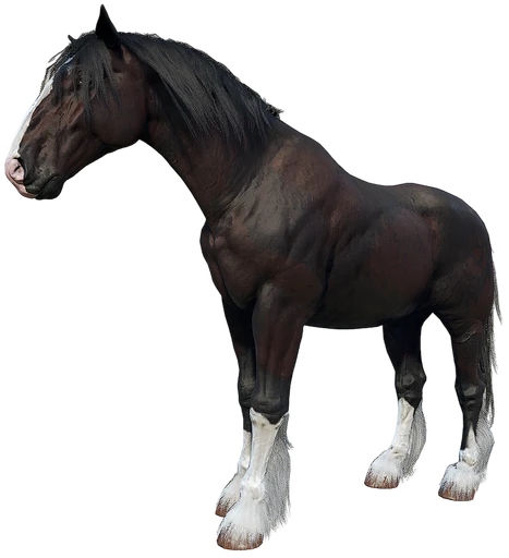 Shire