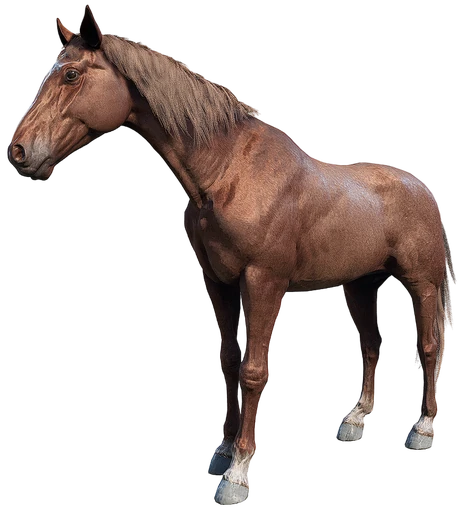 Tennessee Walker