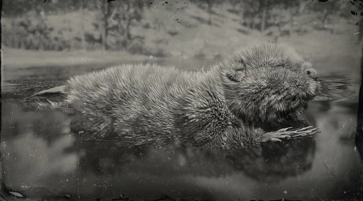 Legendary Beaver