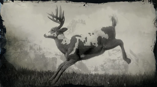 Legendary Buck