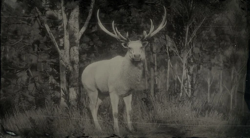Legendary Elk