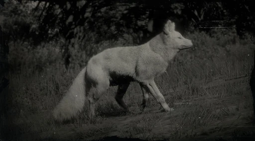 Legendary Fox