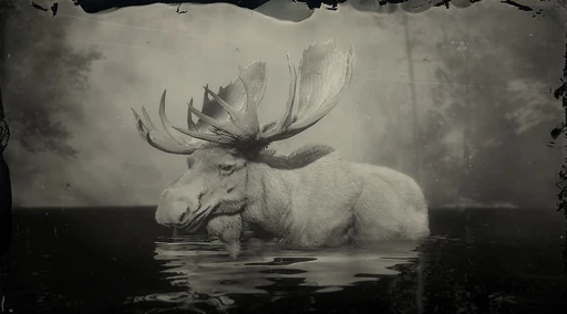 Legendary Moose