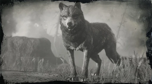 Legendary Wolf