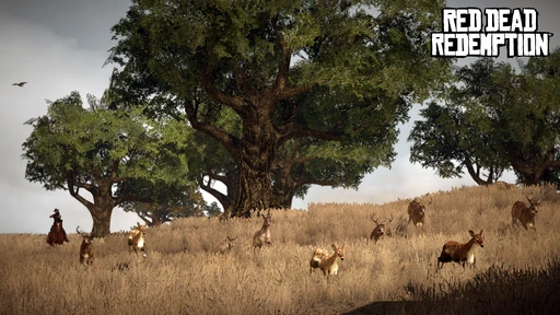 Hunting Requests