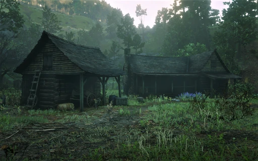 The Widow of Willards Rest