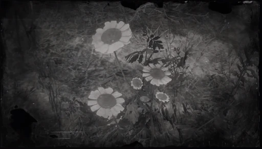 Wild Feverfew