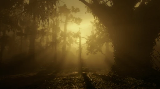 Bayou Nwa