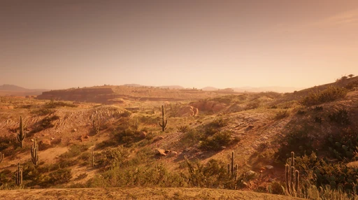 Cholla Springs