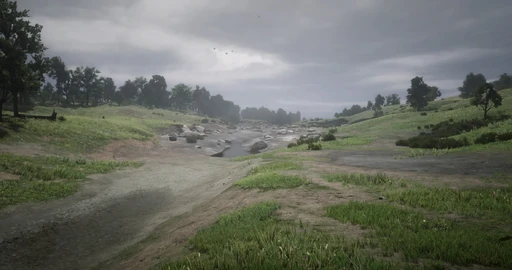Dewberry Creek