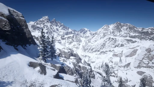 Grizzlies West