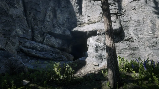 Hidden Tunnel