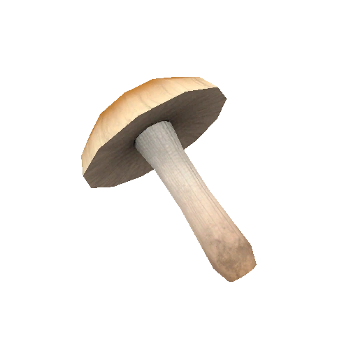 Starter Shrooms 3