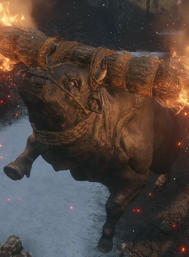 Blazing Bull