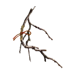 Aromatic Branch