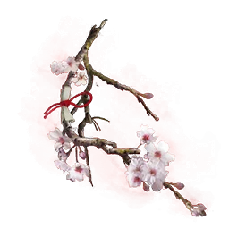 Aromatic Flower