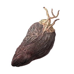 Dried Serpent Viscera