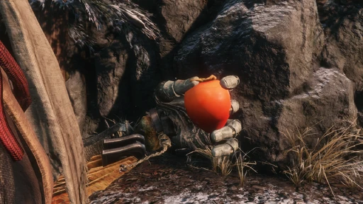 Persimmon