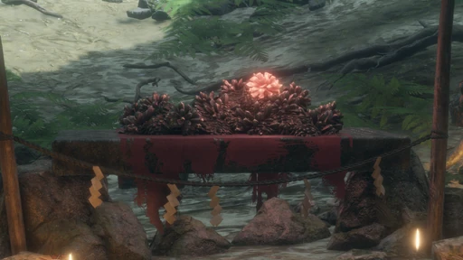 Shelter Stone
