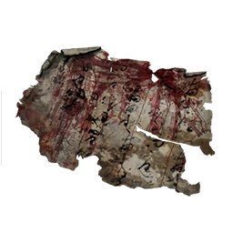Surgeons Stained Letter