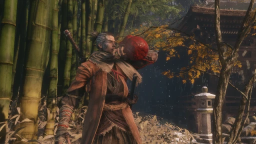 Withered Red Gourd