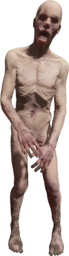 Blind Mutant