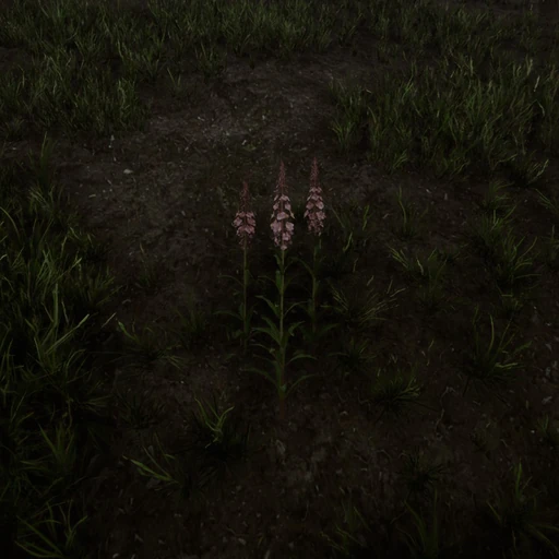 Fireweed