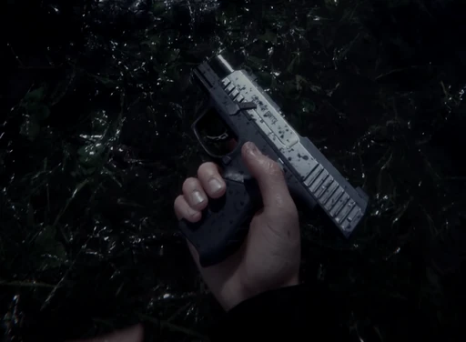 Pistol