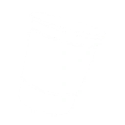 Ramen Noodles